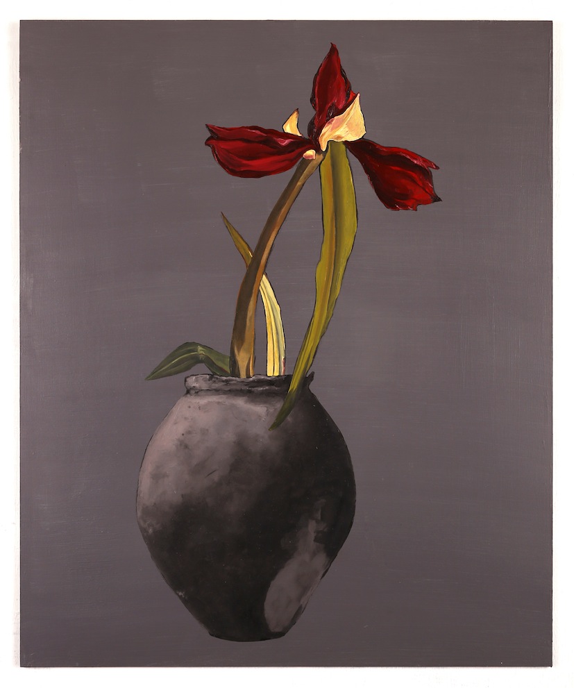 Kim Hennessy | Amaryllis 2024 | McAtamney Gallery and Design Store | Geraldine NZ